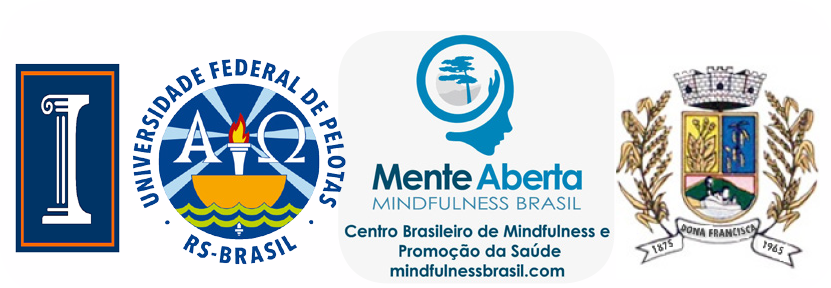 A logo banner feature the University of Illinois logo, the Federal University of Pelotas logo, the Mindfulness Brazil logo, and the Dona Francisca seal