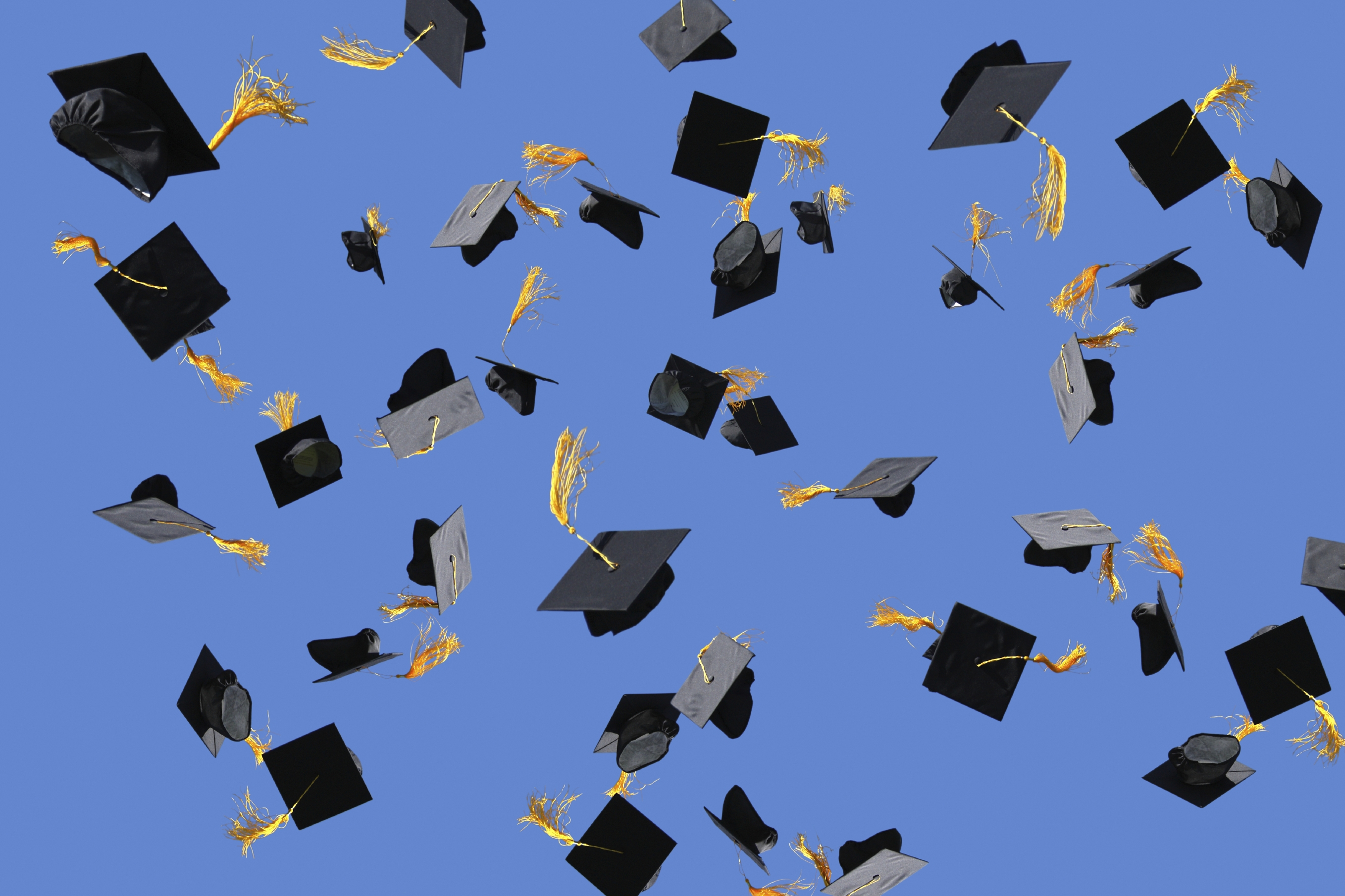 Graduation | Billy Vermillion's Psychology Advising Blog - University