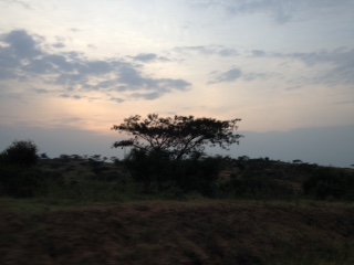 Day 4 Uganda – Isingiro District (Gabi)