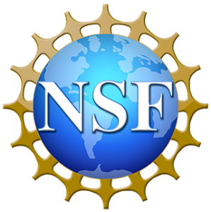 NSF-Logo-1efvspb