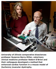 Drs. Berry and O'Brien