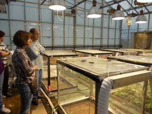 Teachers view climate-controlled treatment groups at the greenhouse.
