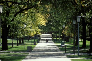 A solitary student walks down the sidewalk along the University Quad.