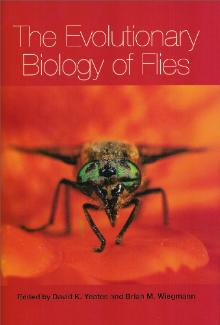 Evolutionary Biology of Flies