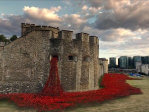 2014-08-01-tower-of-london-world-war-i-poppies-paul-cummins-01