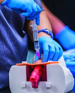 Student injects fluid into a simulated human heart