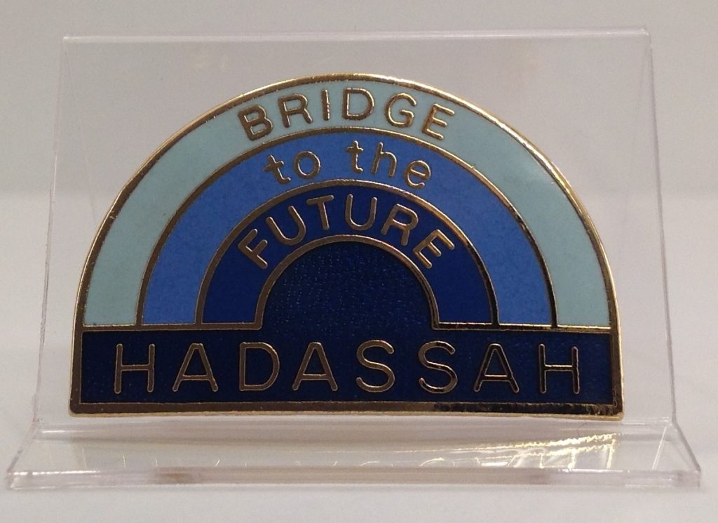 Enamel rainbow pin colored in shades of blue, featuring the words "Bridge to the Future Hadassah."