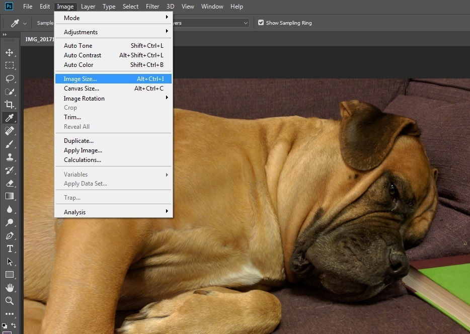 Photoshop screenshot of Image dropdown menu