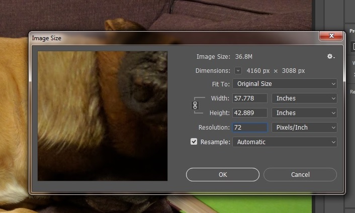 photoshop screenshot of Image Size box