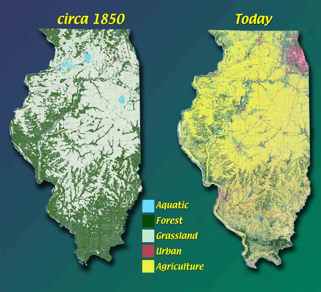 illinois maps showing land use 1850 and today