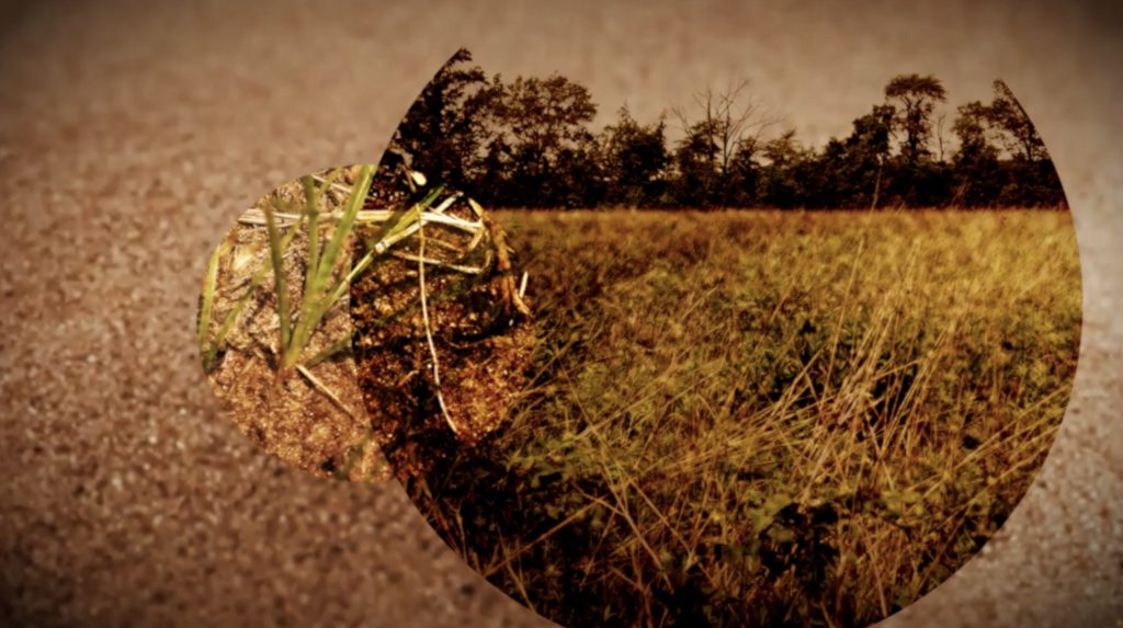 Video still from “When the Landscape Recognizable Today Was Shaped” Montage of archival and original footage of the Kankakee Sands area near the contemporary Illinois-Indiana border.