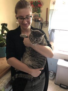 Photo of cat being held by human