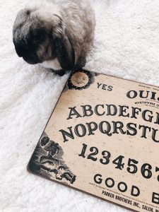 Bunny with a Ouija board