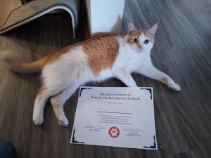 An orange and white cat with diploma that reads "Masters of Science in Library and Information Sciences" 