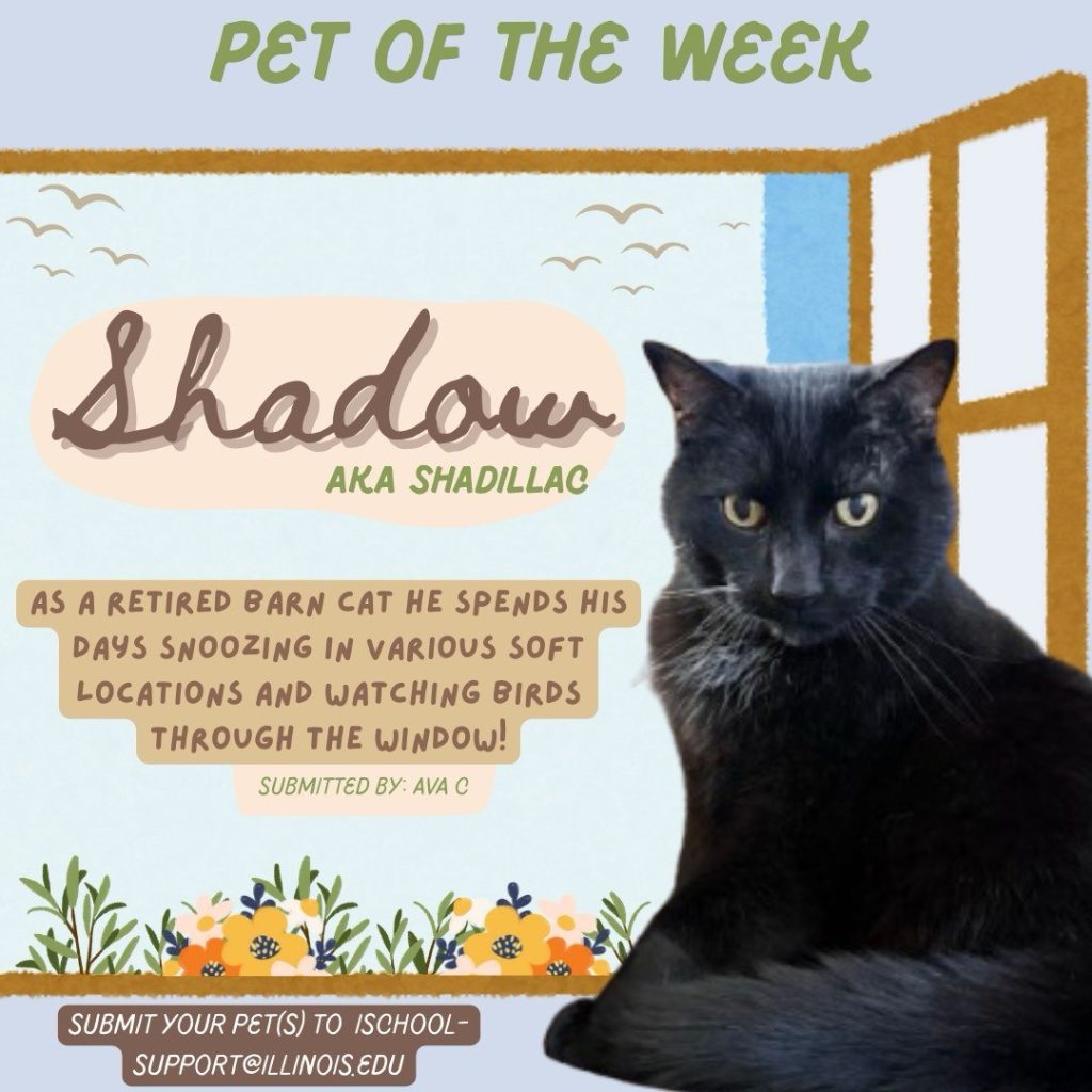 Graphic featuring a black cat. It reads "Pet of the week: Shadow (AKA Shadillac). As a retired barn cat he spends his days snoozing in various soft locations and watching birds through the window! Submitted by: Ava C. Submit your pet(s) to school-support@illinois.edu".