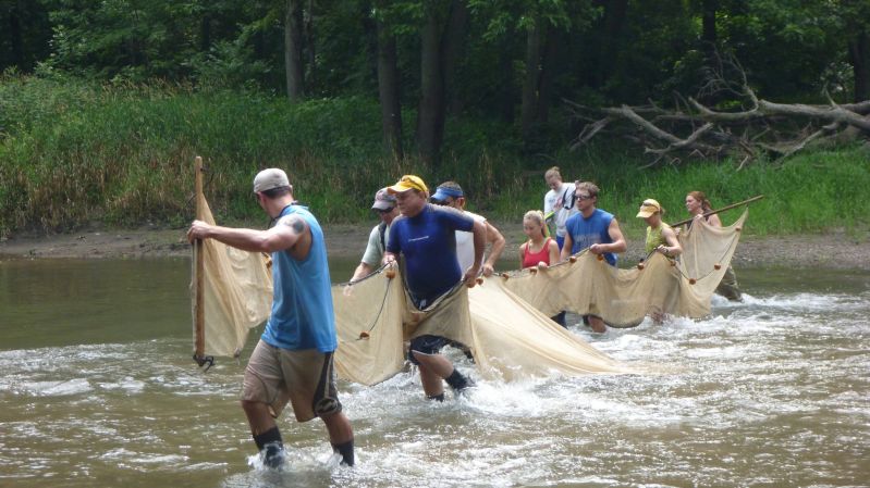 line of people using bag seine in the Vermilion River