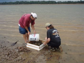 Two people surveying for snails in a stream