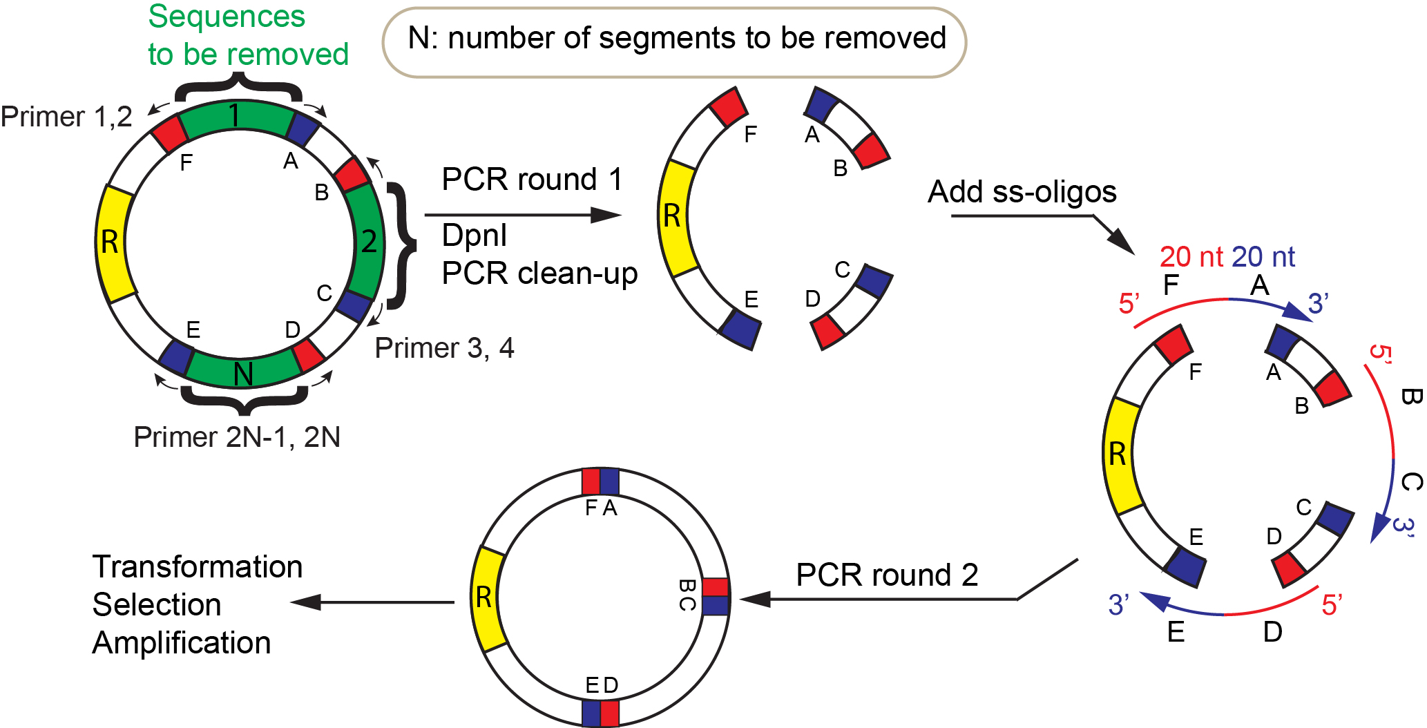 Publication The Zhang Lab University of Illinois at UrbanaChampaign