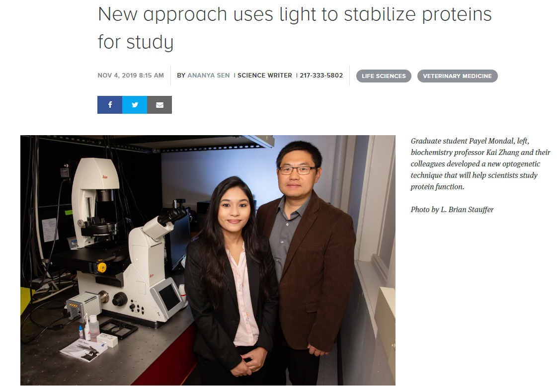 News The Zhang Lab University of Illinois at UrbanaChampaign