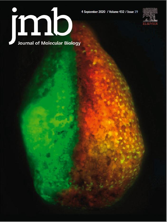 Editorial Opportunity The Zhang Lab University of Illinois at UrbanaChampaign