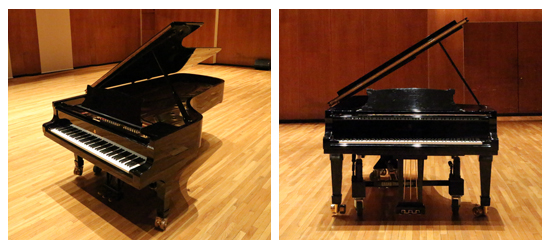 Krannert Center Piano: Alma