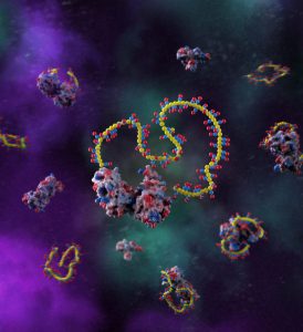 Zwitterionic polymers bind proteins