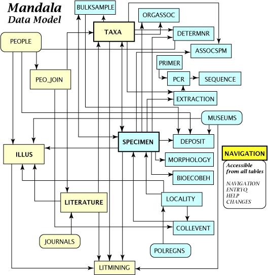 Mandala flowchart