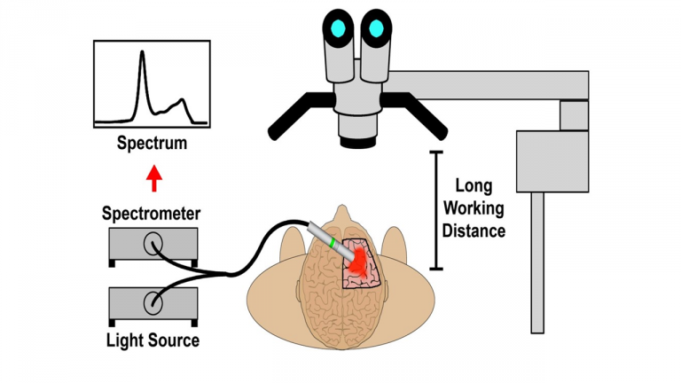 Optical spectroscopy for image-guided surgery, wearable spectroscopic devices, digital health