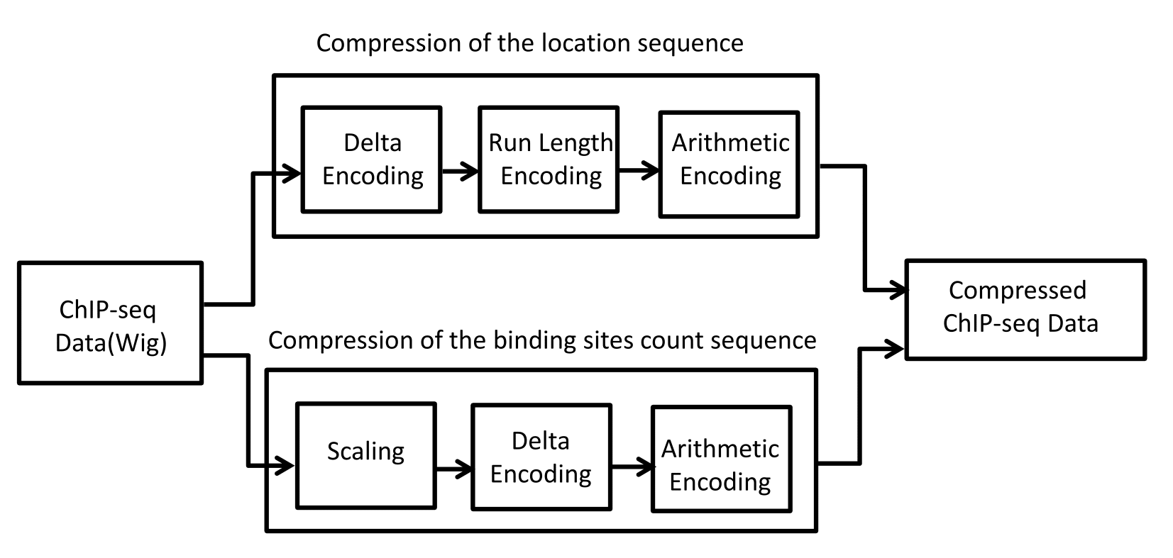 The block model for the ChIPWig compression algorithm 