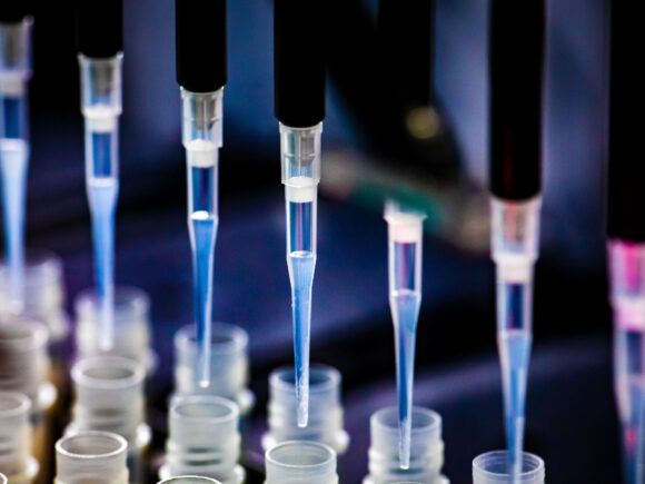 University of Illinois Urbana-Champaign SHIELD team members process saliva samples, testing for COVID-19 as they ru the university testing program in labs housed at the Veterinary Diagnostic Laboratory. The labs have been expanded with the addition of robotic testing equipment, as well as a mobileSHIELD annex building.