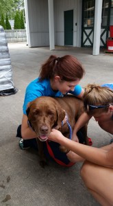 OTS Fall Pet Wash - 9/27/15