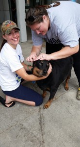 OTS Fall Pet Wash - 9/27/15