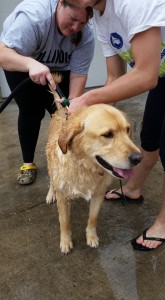 OTS Fall Pet Wash - 9/27/15