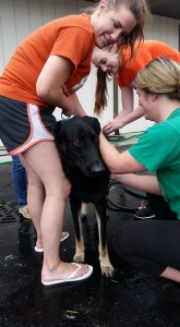 OTS Fall Pet Wash - 9/27/15
