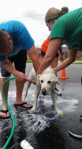 OTS Fall Pet Wash - 9/27/15