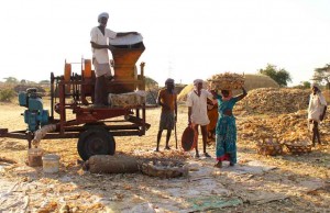 Smallholder farmers near Hubli, India, prepare to process maize in-field © ADM Institute for the Prevention of Postharvest Loss
