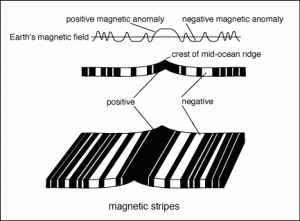 Geomagnetic stripes of the ocean floor