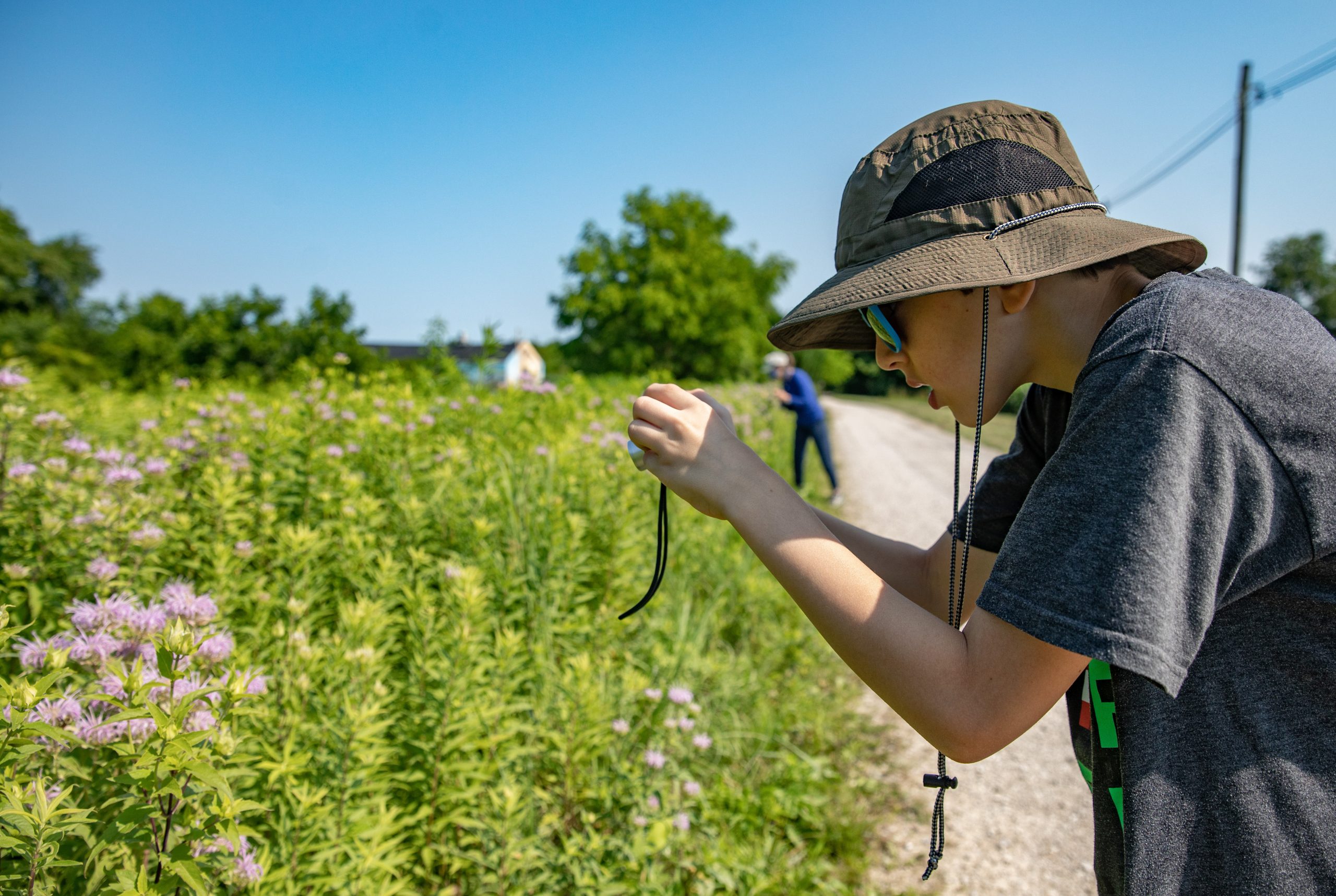 BeeBlitz Participant