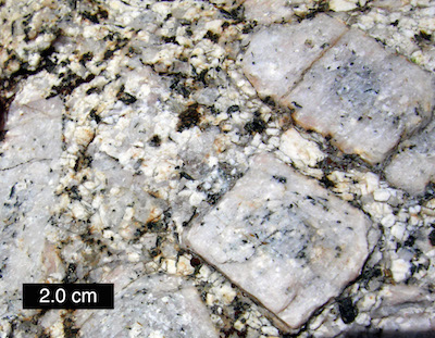 2-cm blocky white crystals surrounded by smaller ones