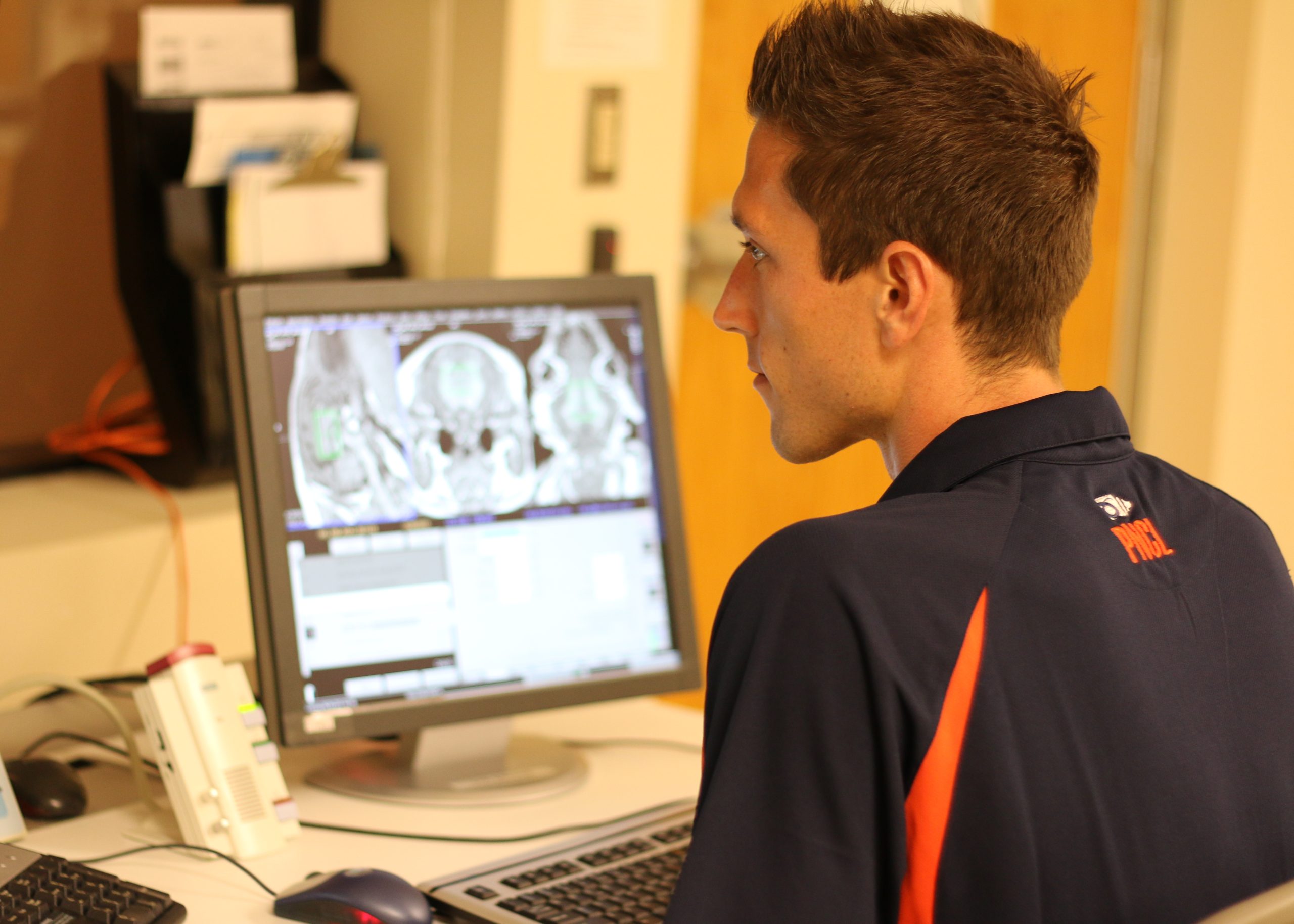 graduate student looking at magnetic resonance image of the pig brain