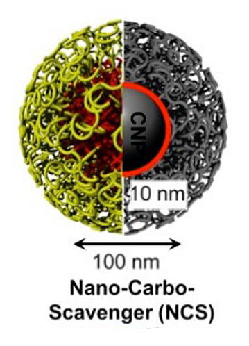 nano-carboscavenger particles are small