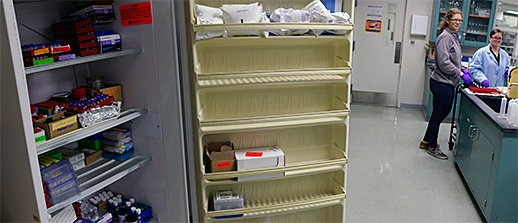 Laurel Dodgen and Viktoriya Yurkiv review lab stores