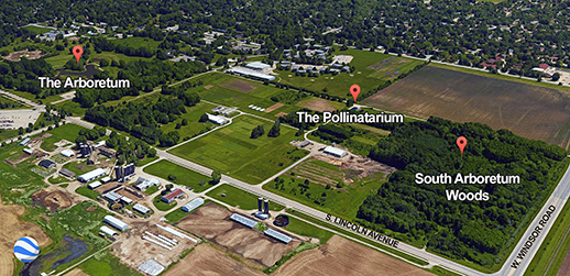 Google Earth view of the South Arboretum Woods