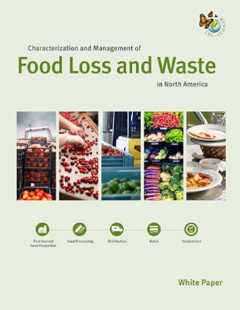 Image of white paper cover, featuring multiple images of produce at various points along the supply chain as well as icons representing post-harvest food production, food processing, distribution, retail and foodservice