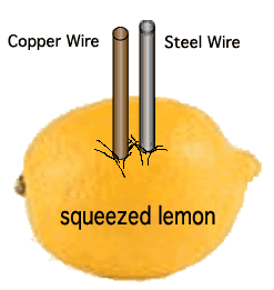 lemon-2[1]