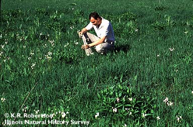 man crouches amid short prairie plants