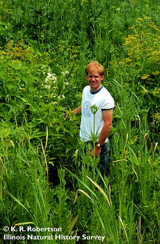 man standing amid prairie vegetation