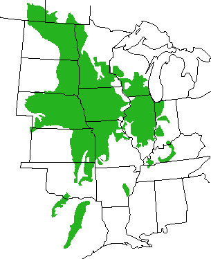 map of prairie region, in green, in the central and western U.S.