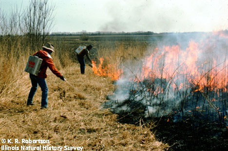two people tending a prairie controlled burn