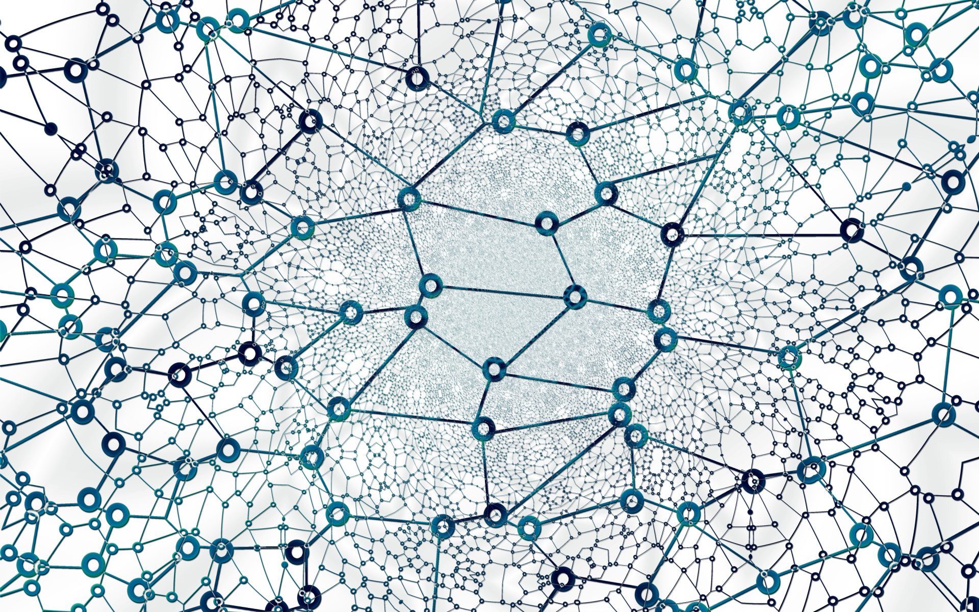 Drawing of a large network